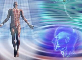 Les Vénusiens – Questions/Réponses